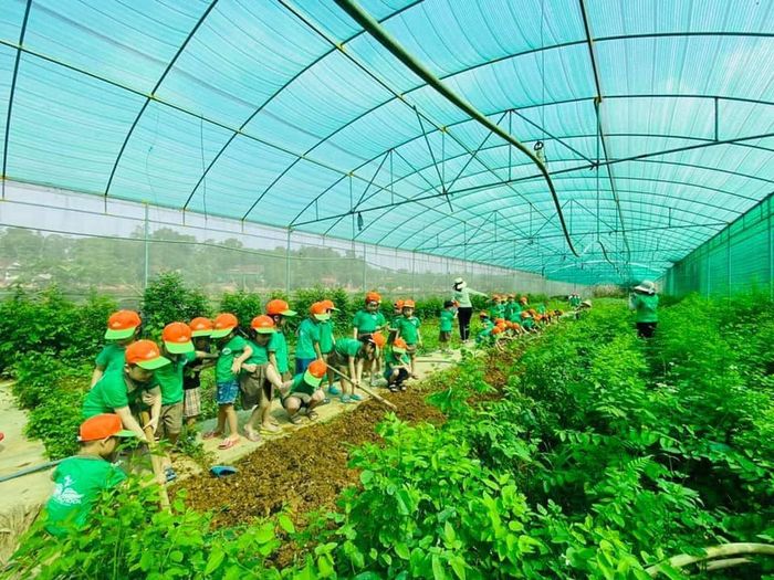 Hoạt động trải nghiệm tại trang trại giáo dục Green School