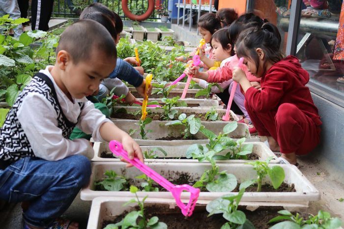 Không gian học tập sáng tạo tại Mầm Non ABC - Ảnh 2