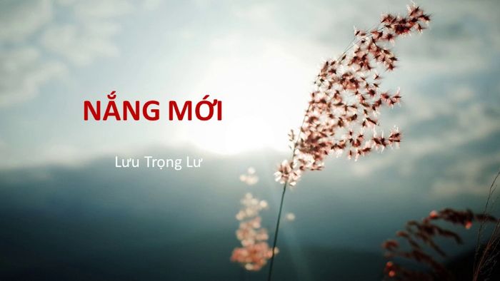 Hình ảnh minh họa sống động (Nguồn: Kho tư liệu internet)