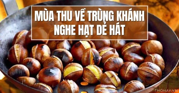 Hình ảnh minh họa (Nguồn internet) ảnh 1