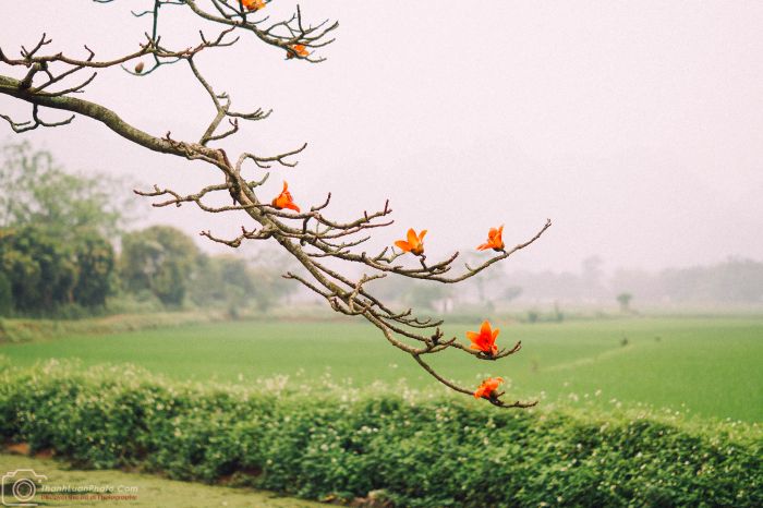 Tranh minh họa đời sống đương đại - Nguồn tư liệu