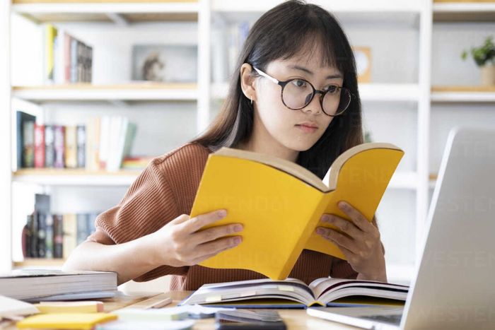 Hình ảnh minh họa sinh động (Nguồn: Internet)