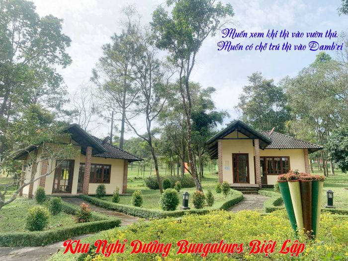 Khung cảnh kỳ vĩ tại Khu Du Lịch Thác Dambri – Ảnh 1