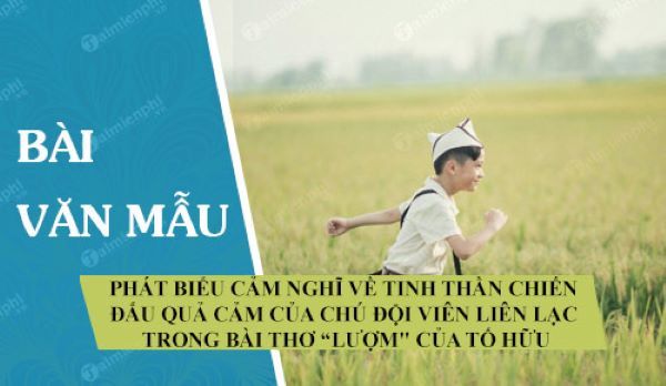 Hình ảnh minh họa ấn tượng (Nguồn: internet) ảnh 1