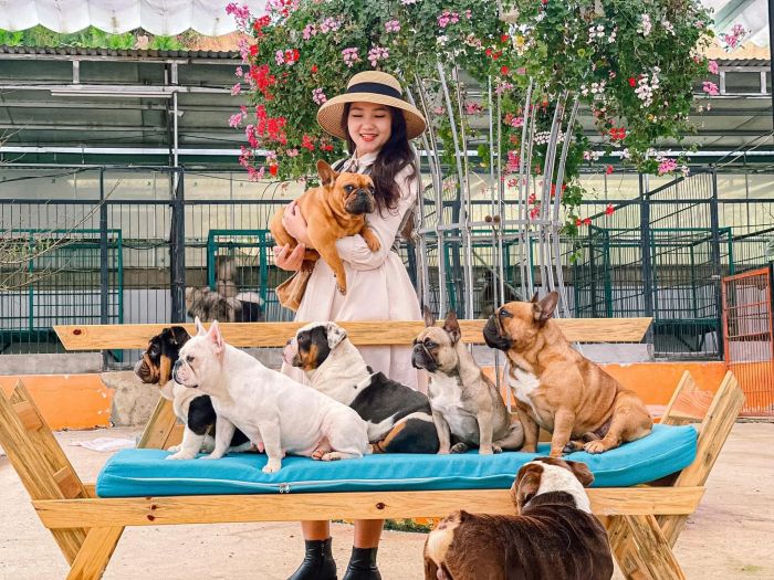 Khung cảnh tươi vui và thân thiện tại Nông Trại Cún - Puppy Farm ảnh 1