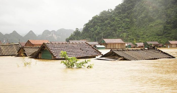 Hình ảnh minh họa chân thực về cảnh ngập lụt đô thị (Nguồn tham khảo Internet)