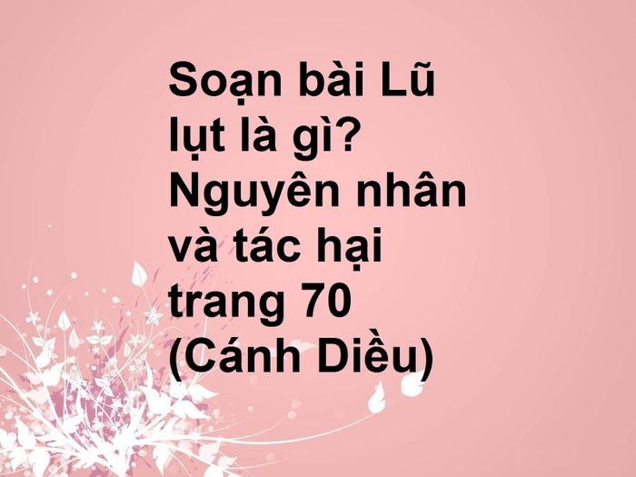 Ảnh minh họa trực quan về tác động của lũ lụt (Nguồn Internet)