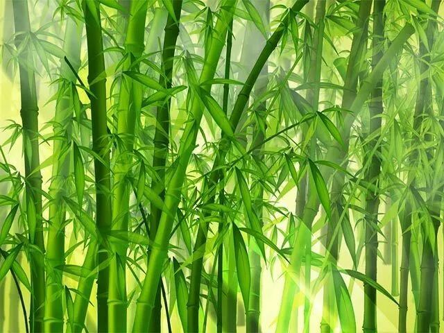 Hình ảnh minh họa sống động (Nguồn: Internet)