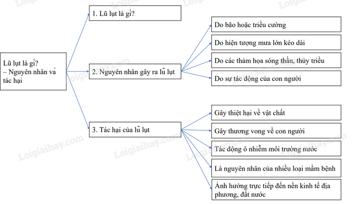Ảnh minh họa trực quan về tác động của thiên tai lũ lụt (Nguồn Internet)