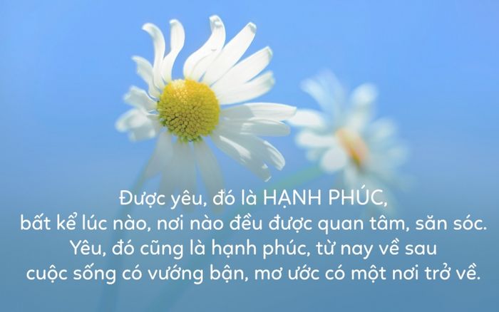 Những triết lý vàng về hạnh phúc qua hình ảnh