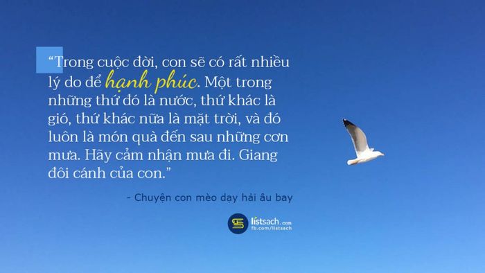 Chuyện Con Mèo Dạy Hải Âu Bay - Hình Ảnh 2