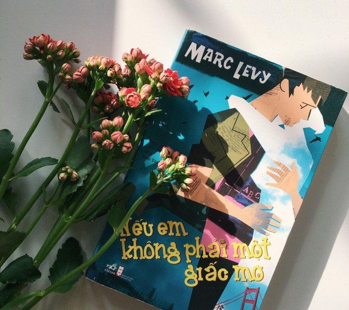 Nếu em không phải một giấc mơ - Hình ảnh 2