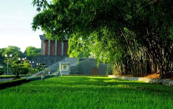 Hình ảnh minh họa sinh động (Nguồn: Internet)