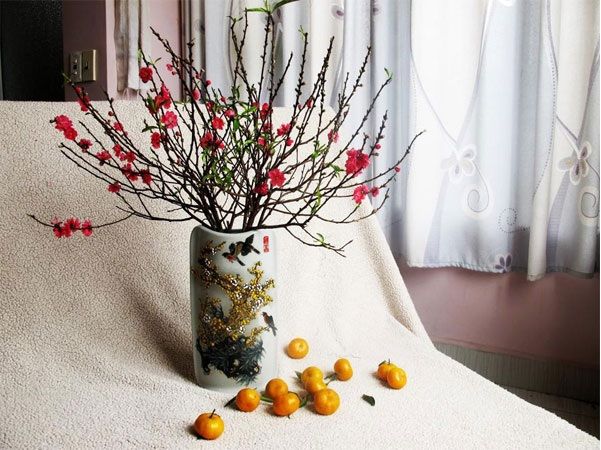 Bộ sưu tập cây cảnh Tết - Ảnh 1
