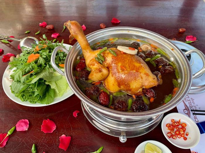 Những khoảnh khắc đáng nhớ tại Trại Cá Sấu Long Xuyên