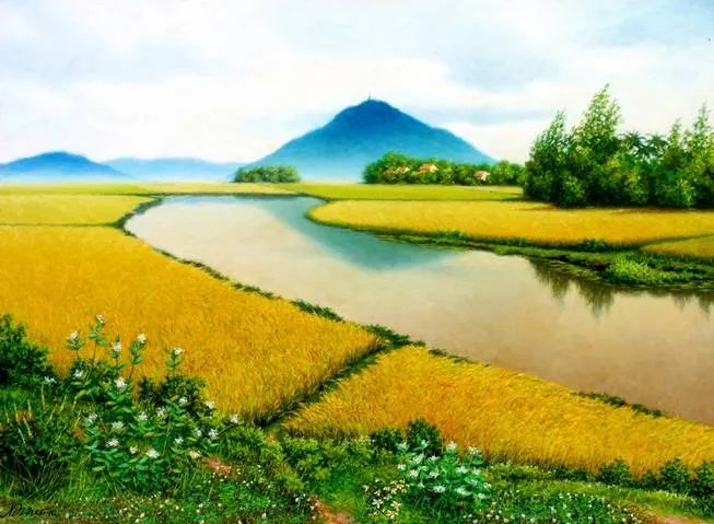 Hình ảnh minh họa sống động (Nguồn: internet) - Ảnh số 1