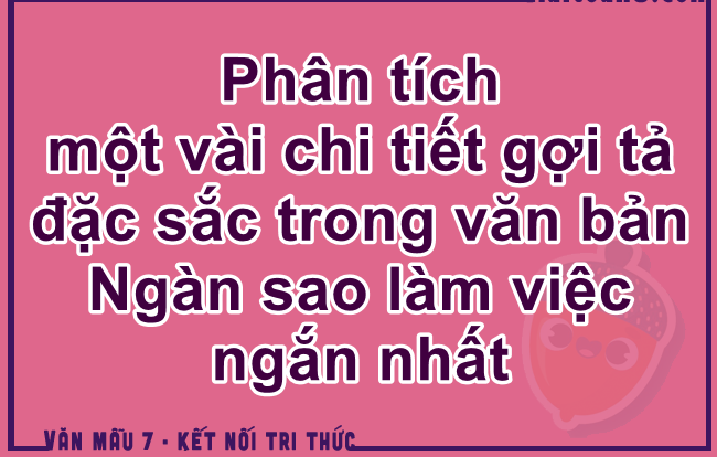 Ảnh minh họa (Nguồn internet) hình 1