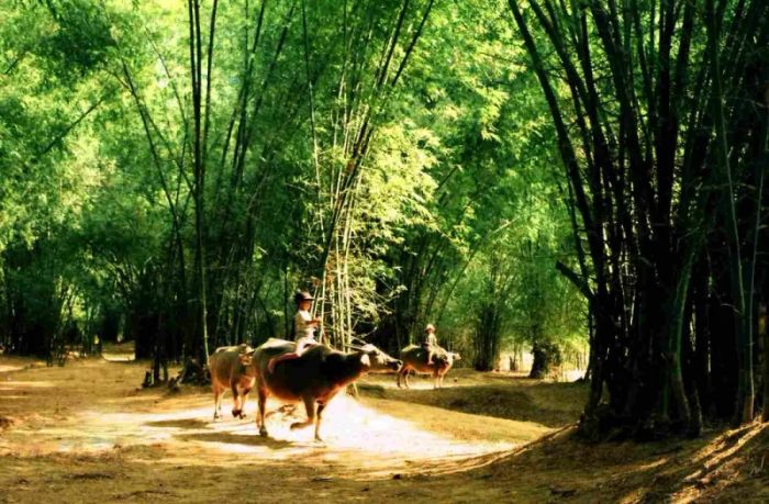 Hình ảnh minh họa đặc sắc (Nguồn: Internet)