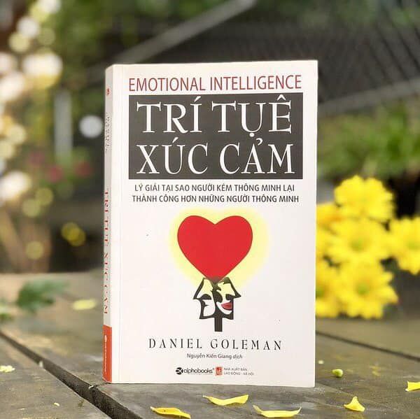 Trí Tuệ Xúc Cảm - Hình Ảnh 2