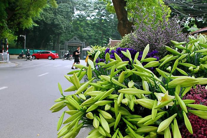 Ảnh minh hoạ (Nguồn internet) hình ảnh 1