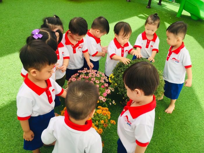 Hoạt động vui chơi và học tập tại Fuji School