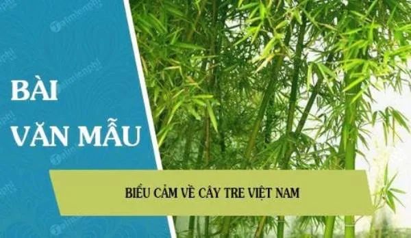 Hình ảnh minh họa sống động (Nguồn: Internet)