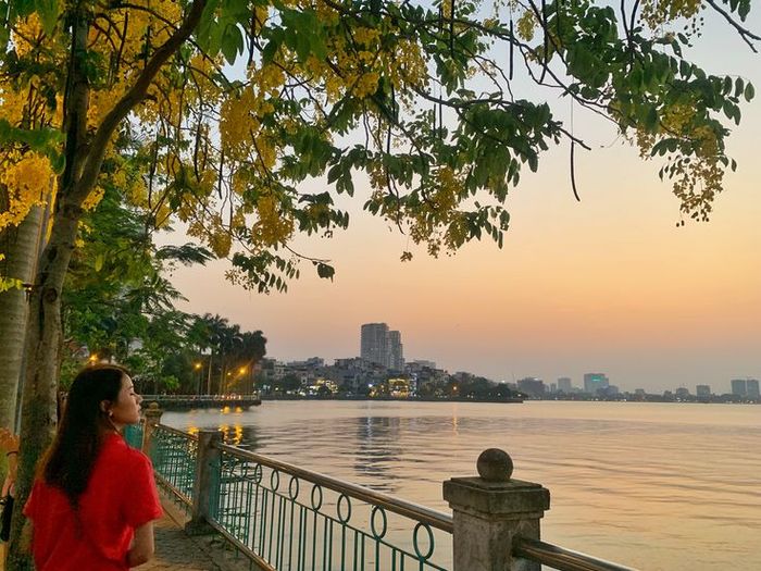 Hình ảnh minh họa sống động (Nguồn: internet) - Ảnh 1 với góc chụp độc đáo
