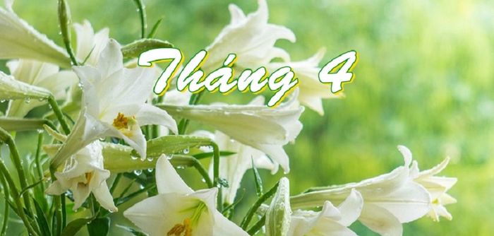Ảnh minh hoạ (Nguồn internet) hình ảnh 1