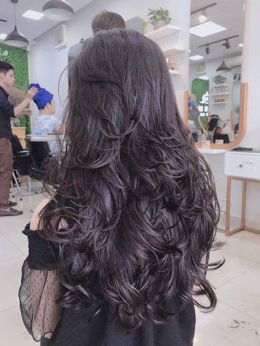 Ảnh minh họa HaZa Hair salon - Đẹp tự nhiên, tóc thời thượng