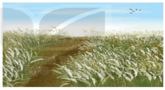 Ảnh minh họa (Nguồn internet) hình 1
