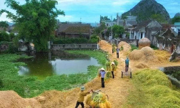 Ảnh minh họa (Nguồn internet) - Hình 1