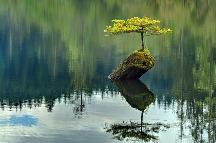 Hình ảnh minh họa sinh động về sự tương phản giữa lòng nhân ái và bệnh vô cảm