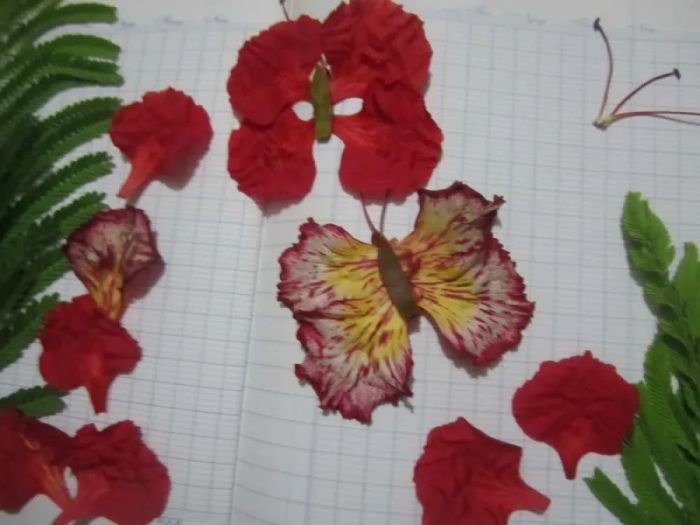 Những cánh phượng rơi được chúng em nâng niu ép vào trang vở, trở thành những chú bướm lưu giữ kỷ niệm ảnh 1
