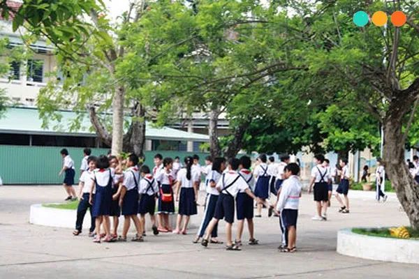 Hình ảnh minh họa sinh động (Nguồn: internet) ảnh 1