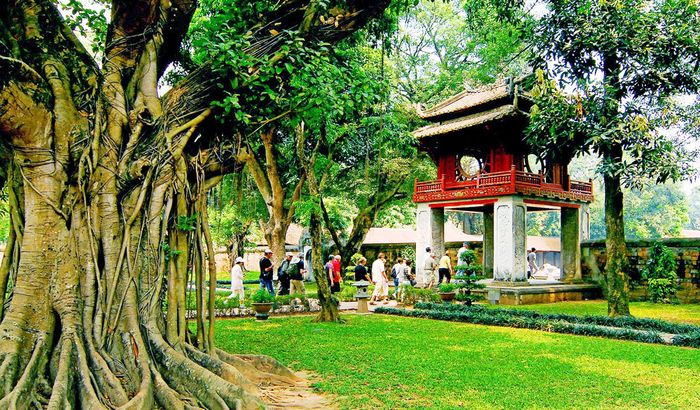 Hình ảnh minh họa chân thực (Nguồn: internet)