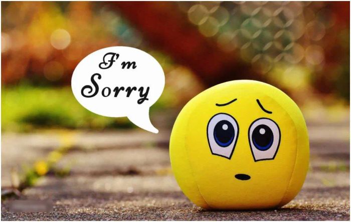 Hình ảnh minh họa nghệ thuật xin lỗi trong giao tiếp (Nguồn: Internet)