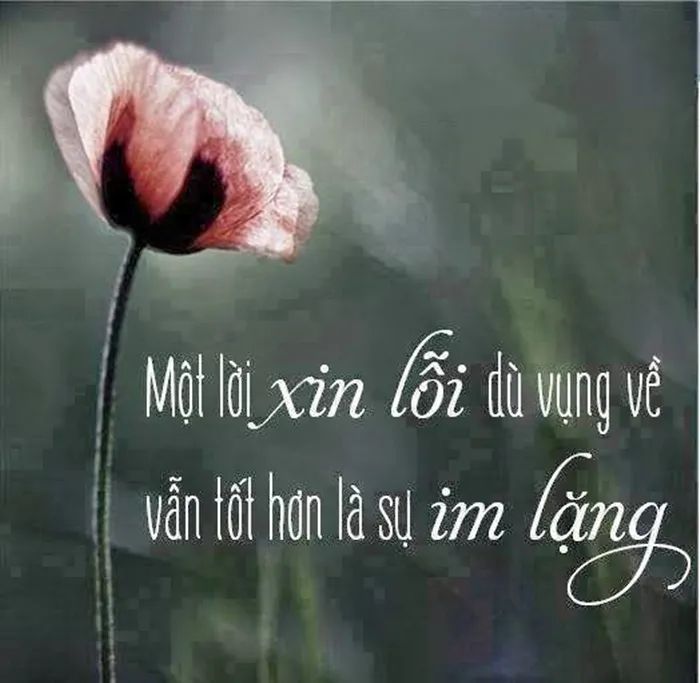 Hình ảnh minh họa sinh động về giá trị của lời xin lỗi (Nguồn ảnh: Internet)