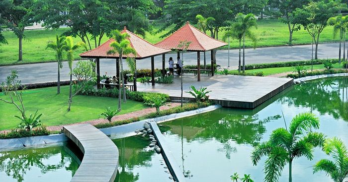 Hình ảnh minh họa sống động (Nguồn: internet)