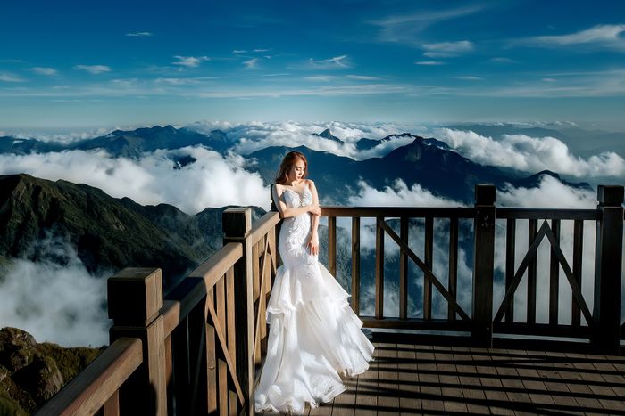 BST váy cưới thanh lịch tại Tiamo Studio - Ảnh 1