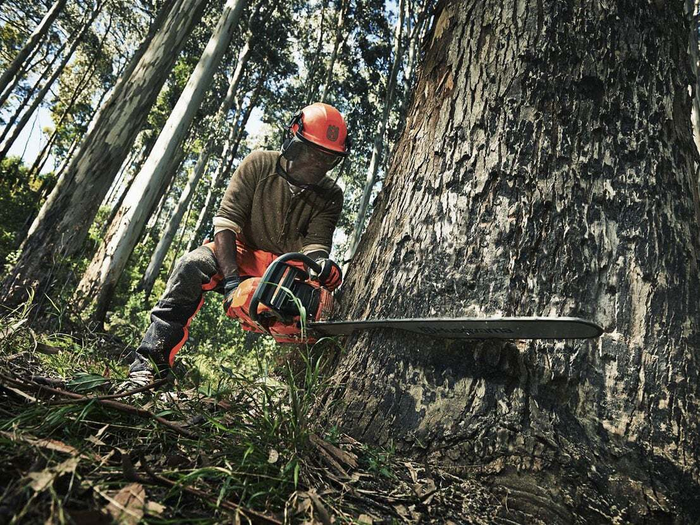 Husqvarna 390 XP