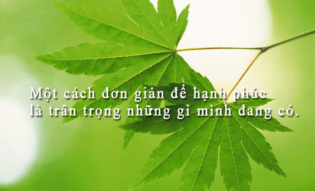 Hình ảnh minh họa (Nguồn: Internet)