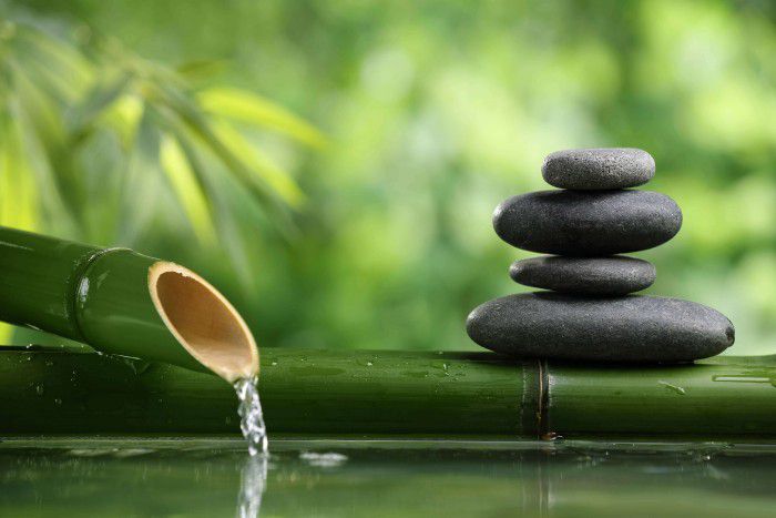 Hình ảnh minh họa đầy cảm hứng về lối sống chậm (Nguồn: Internet)