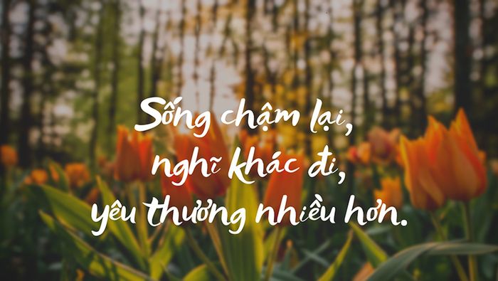 Hình ảnh minh họa sống động về triết lý sống chậm (Nguồn: Internet)