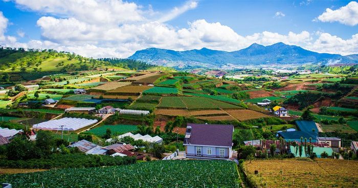 Khoảnh khắc lưu giữ chuyến đi Đà Lạt (Nguồn: Internet)