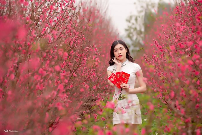 Bộ sưu tập hình ảnh minh họa đặc sắc về Tết quê (Nguồn: Internet)