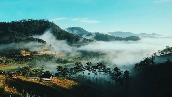 Hình ảnh minh họa sống động về Đà Lạt (Nguồn: Tổng hợp)