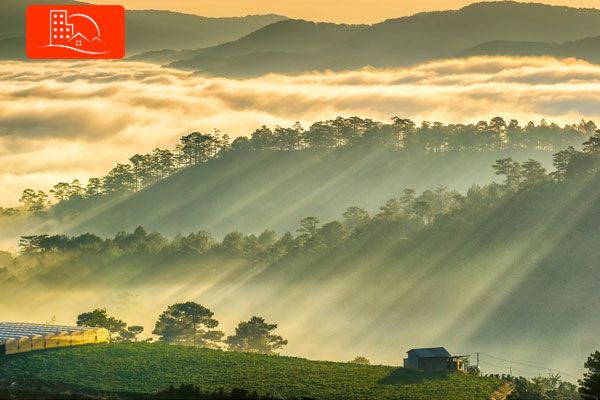Hình ảnh Đà Lạt mộng mơ qua ống kính nhiếp ảnh gia (Nguồn: Tổng hợp)