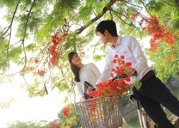 Ảnh minh họa ấn tượng (Nguồn: internet)