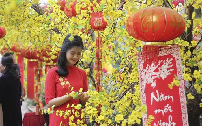 Hình ảnh minh họa sống động về các hoạt động Tết truyền thống (Nguồn: Internet)