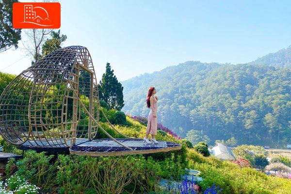 Hình ảnh minh họa sống động về Đà Lạt (Nguồn: Tổng hợp)